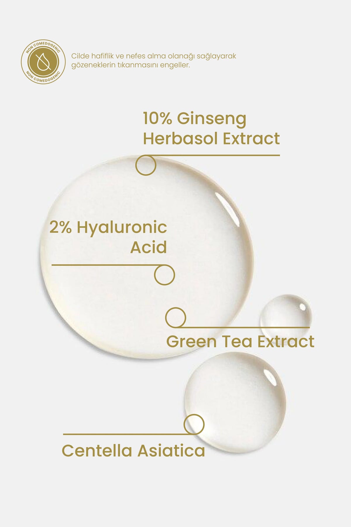 Ginseng Serum 30ml - Cilt Yenileyici, Sıkılaştırıcı, Bariyer Güçlendirici Vegan (%10 Ginseng Özü)